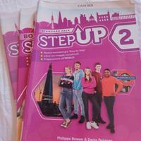 step up 2 standard pack