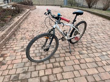 Mtb taglia 24