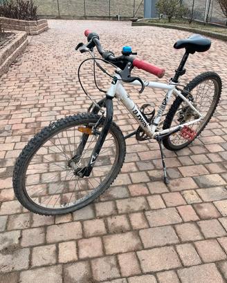 Mtb taglia 24
