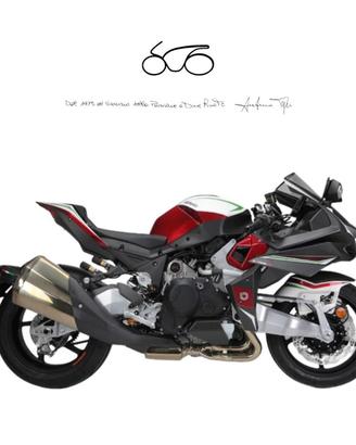 BIMOTA Tesi 2D H2 TURBO