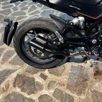 Decatalizzatore + doppio terminale