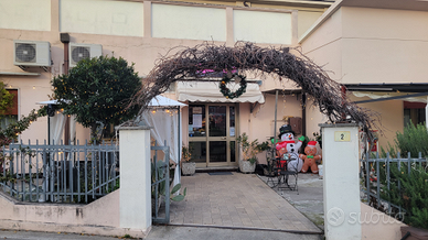 Attività bar avviato