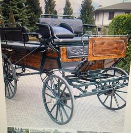 Carrozza cavalli