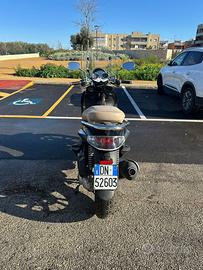 Beverly cruiser 250