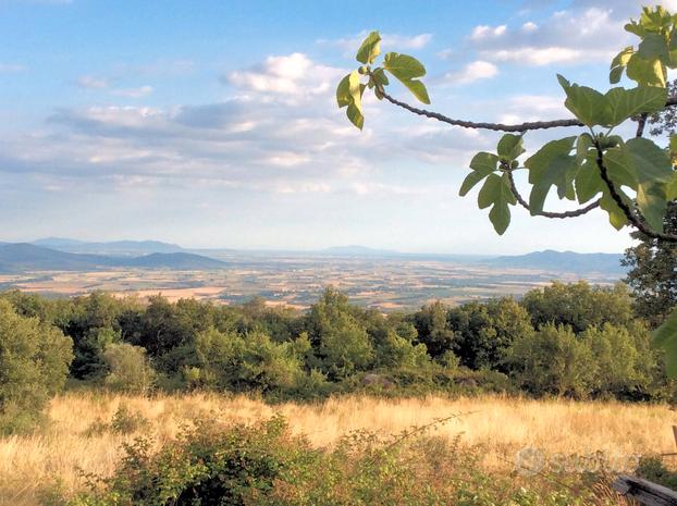 Terratetto da ristrutturare con adiacente picco...