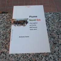 Piume Nord Est - i bersaglieri 1915 - 1917