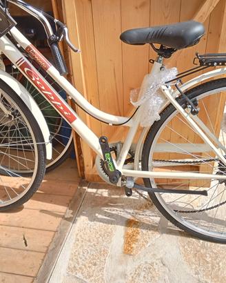 biciclette city bike