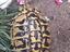 Immagine 1
