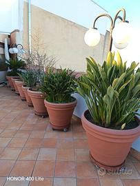 VASI IN RESINA CON STERLITZIE