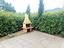Immagine 10