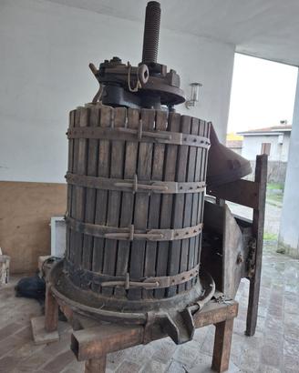 Torchio
