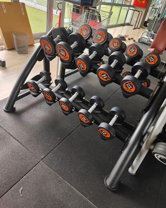 rastrelliera manubri rockit dagli 8 kg ai 16 kg
