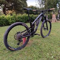 MTB Propain Tyee 5 CF 29' - 2023 - Taglia L