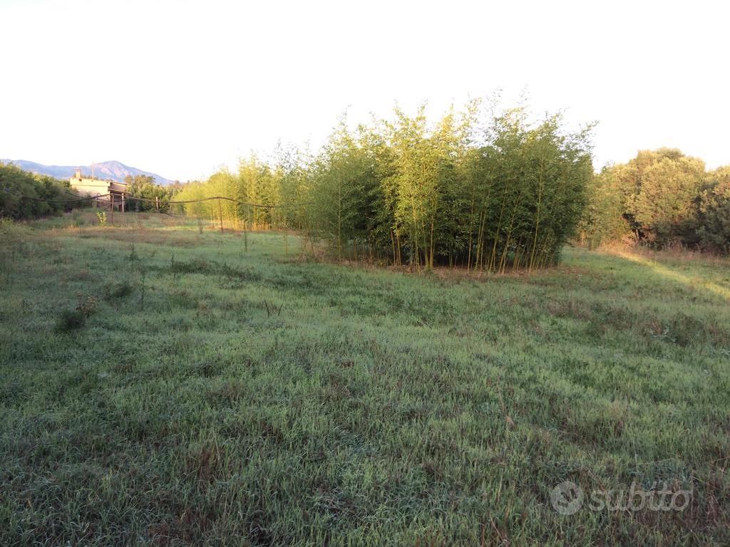 Terreno agricolo Assemini mq. 5.157 - Vista 2