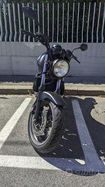 Honda CBF 500  2007