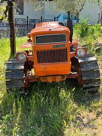 Trattore Fiat 455 c montagna cn trincia e carrello