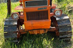 Trattore Fiat 455 c montagna cn trincia e carrello
