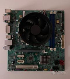 H81m + i7 4770