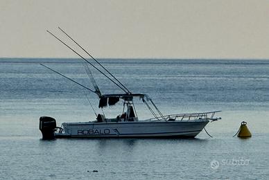 Robalo 2520 2x200 Mercury