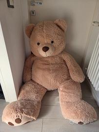 Orso Peluches
