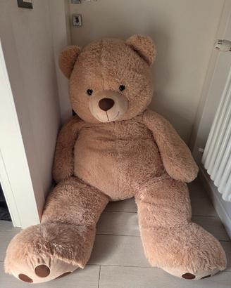 Orso Peluches