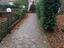 Immagine 10