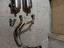Immagine 2