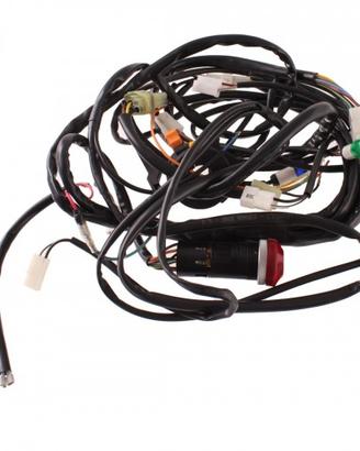 Impianto elettrico per Quad