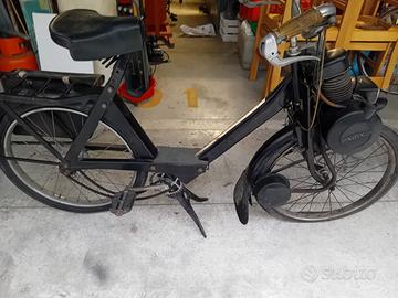 Motorino Solex S3800