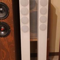 Ribassissimo- coppia diffusori Revox Elegance 120G