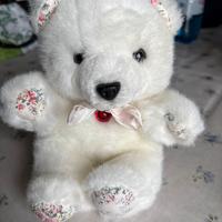 Orsacchiotto come nuobo