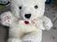 Immagine 1
