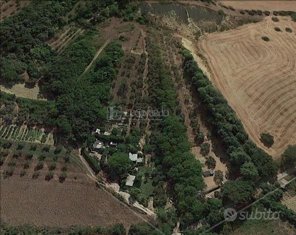 Terreno Agricolo - Monsampolo del Tronto