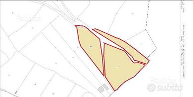 Terreni Tasonis a 1euro a metro quadro