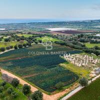 Terreno agricolo - Polignano a Mare