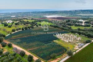 Terreno agricolo - Polignano a Mare