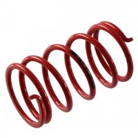 Molla contrasto variatore Ciao Malossi 296955RO 29