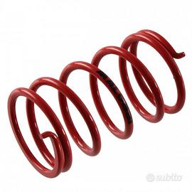 Molla contrasto variatore Ciao Malossi 296955RO 29