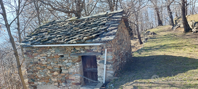 Terreno 5000 mq con rudere