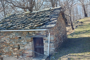 Terreno 5000 mq con rudere