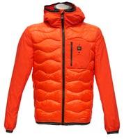 giubotto blauer