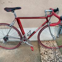 Bicicletta rebellato