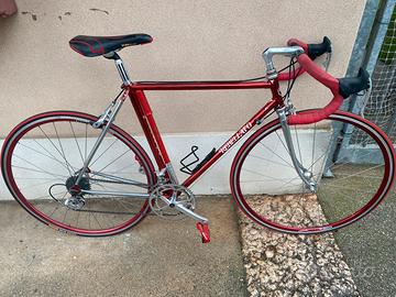 Bicicletta rebellato