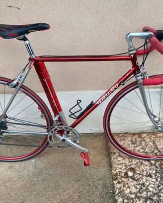Bicicletta rebellato