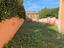 Immagine 19