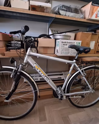 Bicicletta Citybike uomo