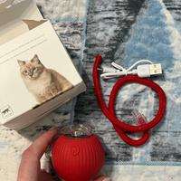 Pallina gioco per gatti