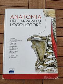 Anatomia dell'apparato locomotore 