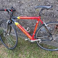 bici corsa bottecchia