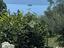 Immagine 17